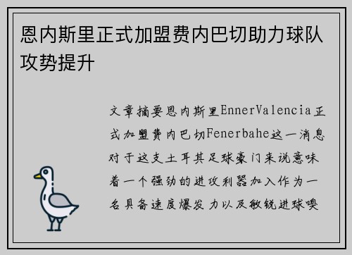 恩内斯里正式加盟费内巴切助力球队攻势提升