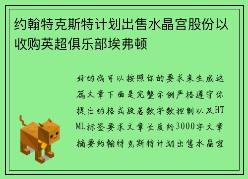 约翰特克斯特计划出售水晶宫股份以收购英超俱乐部埃弗顿